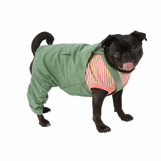 Top Paw® Green Dog Overalls