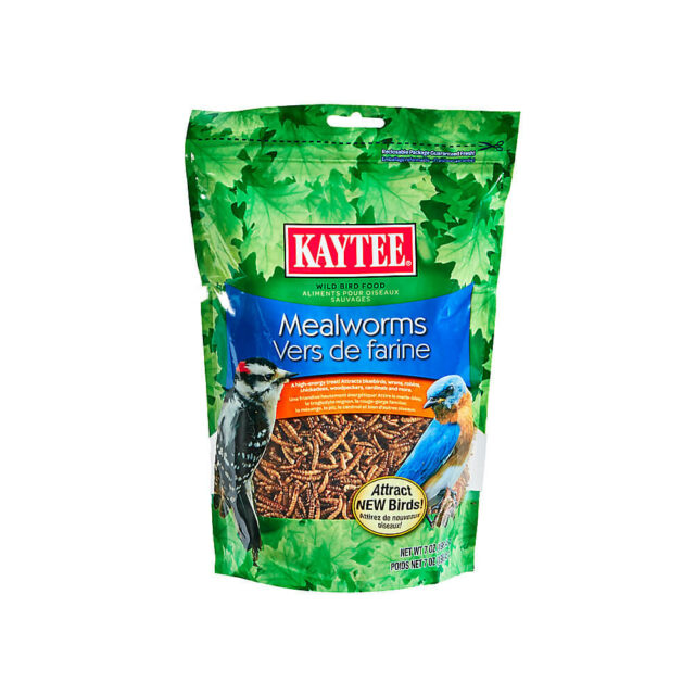 KAYTEE® Mealworms